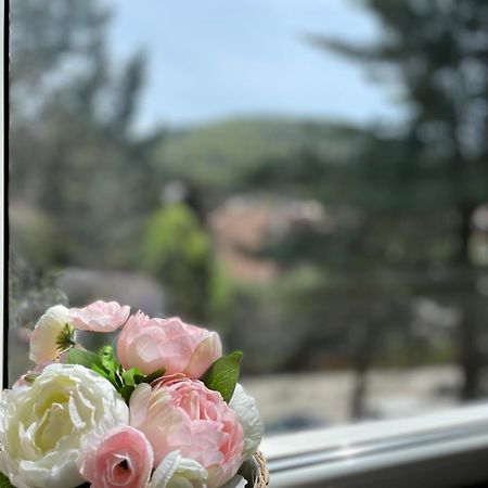 Apartament A&A กูรา ฮูมอรูลุย ภายนอก รูปภาพ
